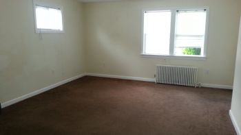 danadove profile photo