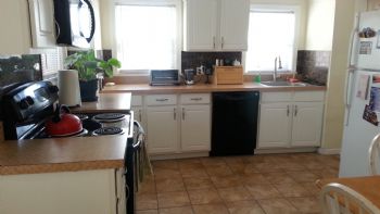 danadove profile photo