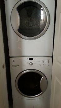 danadove profile photo