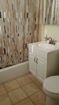 danadove profile photo