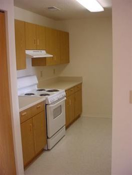 tetrisqueen profile photo