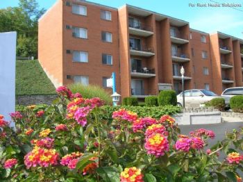 crewfish profile photo