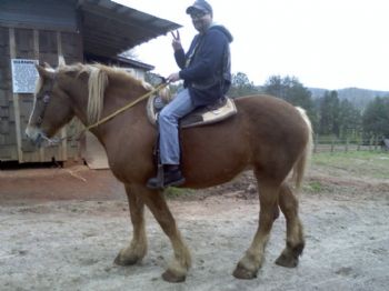 n.pancake profile photo