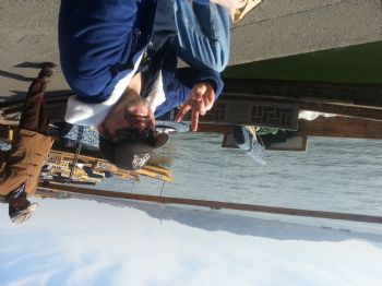 n.pancake profile photo