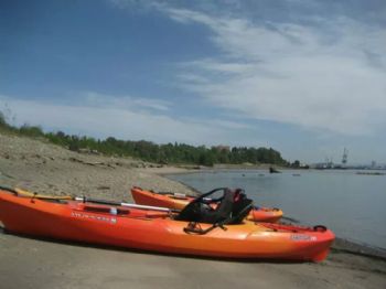 gazoo34 profile photo