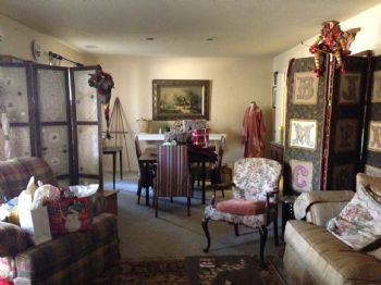 trypadden profile photo