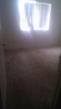 SusyQtat2 profile photo