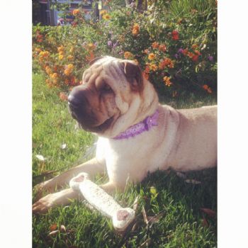 Andrea2 profile photo