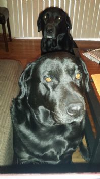 tasha33 profile photo