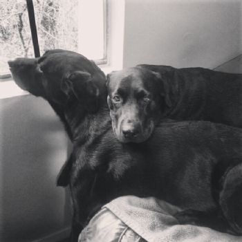 tasha33 profile photo