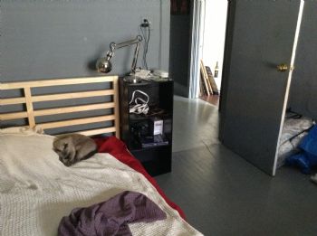 IliyaR profile photo