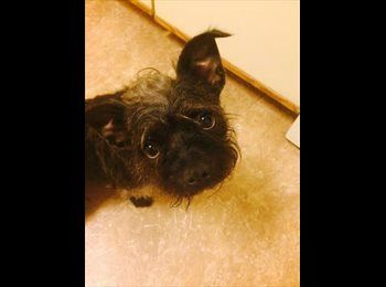 JessDriz1986 profile photo