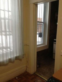 jacobblu profile photo