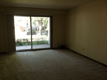 Lrizzo profile photo