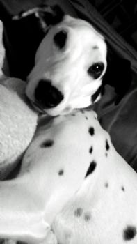 jtr009 profile photo