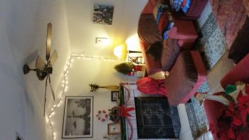 jtr009 profile photo