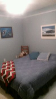 T Hamshar profile photo