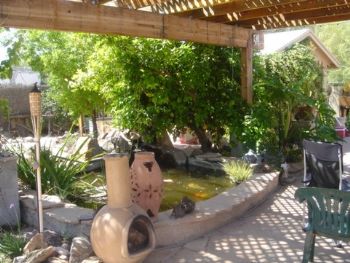 sunshine420 profile photo