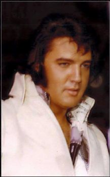 insanelady profile photo