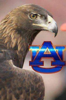 insanelady profile photo