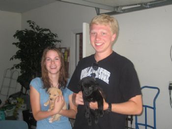 baileygibbs profile photo