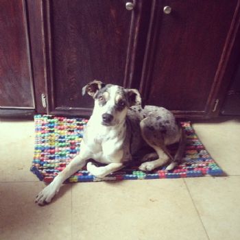 loganlaws profile photo