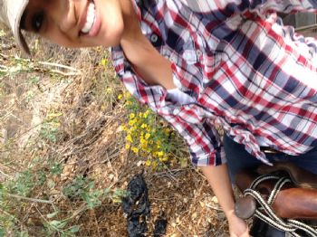 c.d.vazquez profile photo