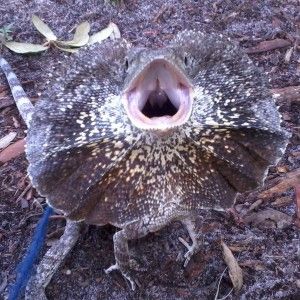 Kitty64 profile photo