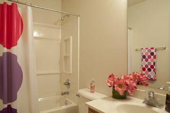 tolhursta profile photo