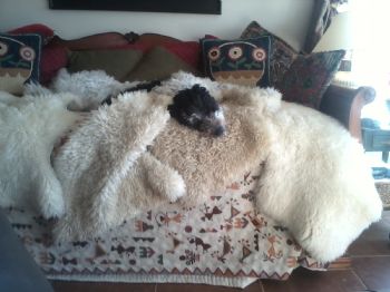 Sunnyboots profile photo