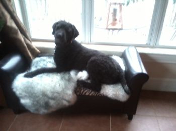 Sunnyboots profile photo