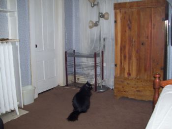 CCaswell profile photo