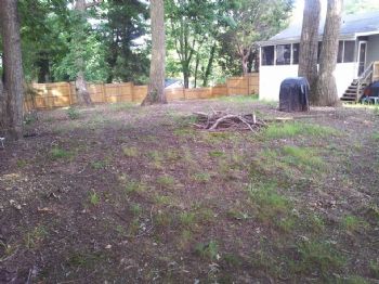 ScooterChic profile photo