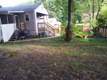 ScooterChic profile photo