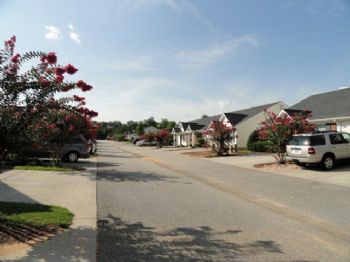 onaippaf profile photo