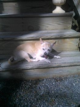 IRBeach profile photo