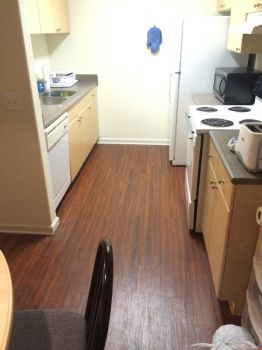 JakeMTSU profile photo