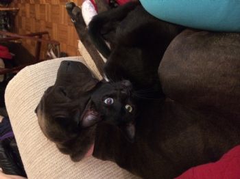 rossergirl1 profile photo