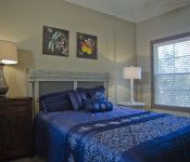 allieehiers profile photo