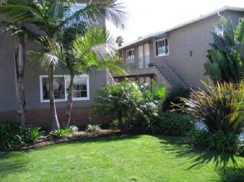 zoberk profile photo