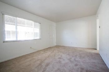 zoberk profile photo