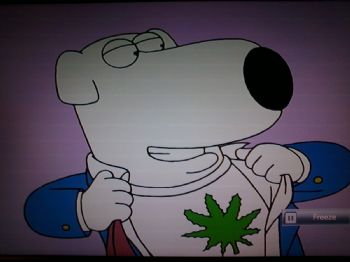 wesleyd70 profile photo