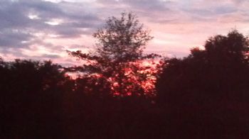 sunny22 profile photo