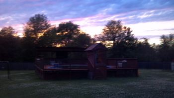 sunny22 profile photo