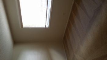 shoichi profile photo