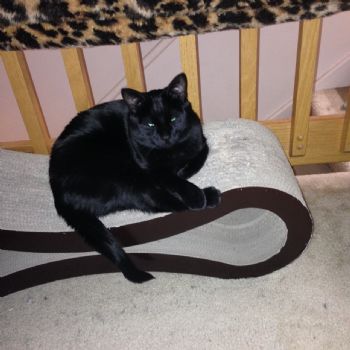 I-ski-alot profile photo