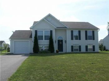 hummingplace profile photo