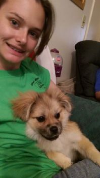 lalapine4 profile photo