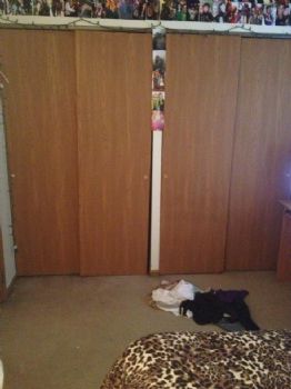 Npjr2214 profile photo