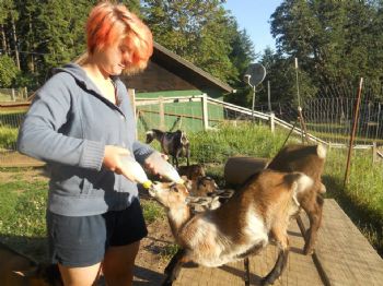 tombombadil profile photo